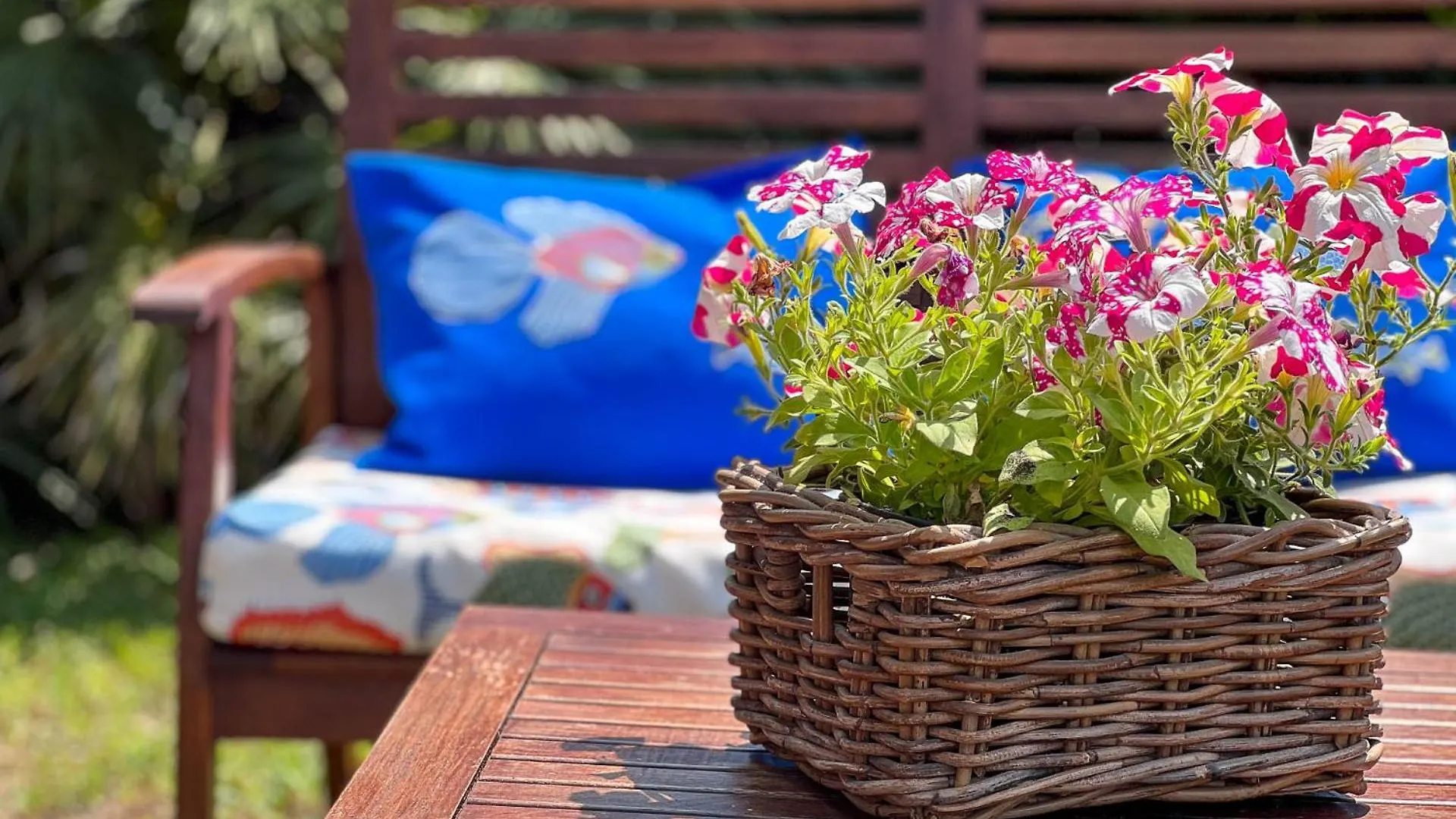 Agriturismo Il Micio Marciana  Holiday home Marciana (Isola d'Elba)